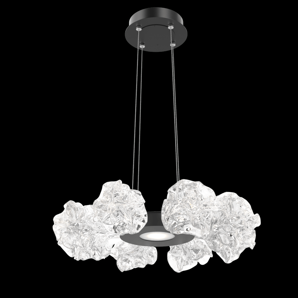 Blossom Radial Ring Chandelier - 24