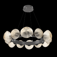 Hammerton CHB0089-36-GP-A-CA1-L1 - Mesa Radial Ring Chandelier