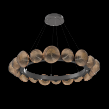 Hammerton CHB0089-48-GP-B-CA1-L3 - Mesa Radial Ring Chandelier