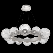 Hammerton CHB0092-39-BS-C-CA1-L1 - Gaia Radial Ring Chandelier