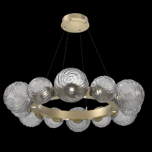 Hammerton CHB0092-39-GB-S-CA1-L1 - Gaia Radial Ring Chandelier