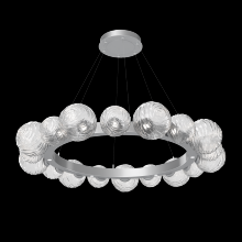 Hammerton CHB0092-51-CS-C-CA1-L1 - Gaia Radial Ring Chandelier