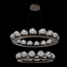 Hammerton CHB0095-2B-FB-GS-CA1-L1 - Luna Ring Chandelier