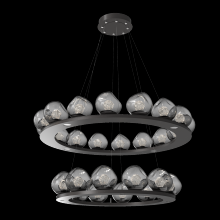 Hammerton CHB0095-2B-GP-ZS-CA1-L3 - Luna Ring Chandelier