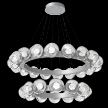 Hammerton CHB0095-2T-CS-ZC-CA1-L1 - Luna Radial Ring Chandelier