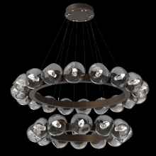 Hammerton CHB0095-2T-FB-GS-CA1-L1 - Luna Radial Ring Chandelier