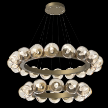 Hammerton CHB0095-2T-GB-GA-CA1-L1 - Luna Radial Ring Chandelier