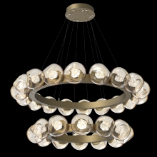 Hammerton CHB0095-2T-GB-ZA-CA1-L1 - Luna Radial Ring Chandelier