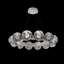 Hammerton CHB0095-36-BS-ZS-CA1-L1 - Luna Radial Ring Chandelier