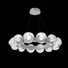 Hammerton CHB0095-36-CS-ZC-CA1-L1 - Luna Radial Ring Chandelier