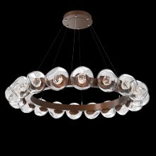 Hammerton CHB0095-48-BB-FC-CA1-L1 - Luna Radial Ring Chandelier