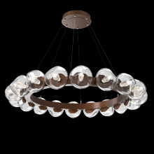 Hammerton CHB0095-48-BB-GC-CA1-L1 - Luna Radial Ring Chandelier