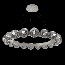 Hammerton CHB0095-48-BS-GS-CA1-L1 - Luna Radial Ring Chandelier