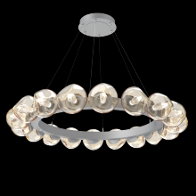 Hammerton CHB0095-48-CS-GA-CA1-L3 - Luna Radial Ring Chandelier