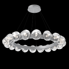 Hammerton CHB0095-48-CS-GC-CA1-L1 - Luna Radial Ring Chandelier