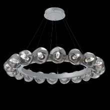 Hammerton CHB0095-48-CS-GS-CA1-L1 - Luna Radial Ring Chandelier