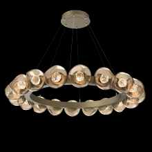 Hammerton CHB0095-48-GB-FB-CA1-L3 - Luna Radial Ring Chandelier