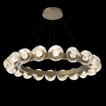 Hammerton CHB0095-48-GB-ZA-CA1-L1 - Luna Radial Ring Chandelier