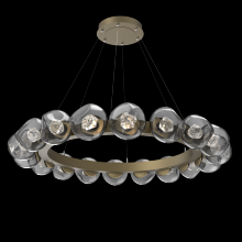 Hammerton CHB0095-48-GB-ZS-CA1-L1 - Luna Radial Ring Chandelier