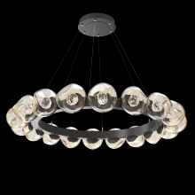 Hammerton CHB0095-48-GP-FA-CA1-L1 - Luna Radial Ring Chandelier