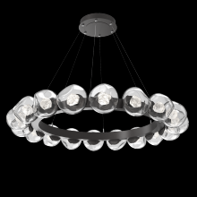 Hammerton CHB0095-48-GP-ZC-CA1-L1 - Luna Radial Ring Chandelier