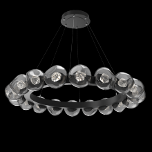 Hammerton CHB0095-48-MB-ZS-CA1-L1 - Luna Radial Ring Chandelier