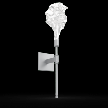 Hammerton IDB0059-21-CS-BC-L3 - Blossom Belvedere Sconce