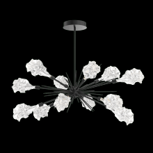 Hammerton PLB0059-0A-MB-BC-001-L3 - Blossom Oval Starburst - 0A 30"