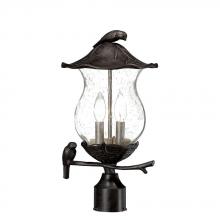 Acclaim Lighting 7567BC/SD - Avian Collection Post-Mount 2-Light Outdoor Black Coral Light Fixture