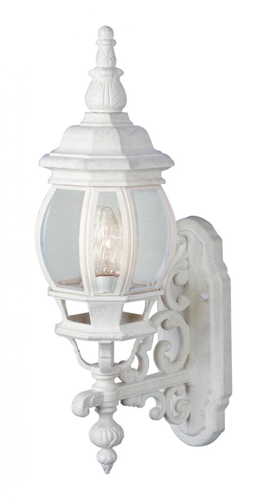 Francisco 1-Light Outdoor Beveled Glass Coach Wall Lantern