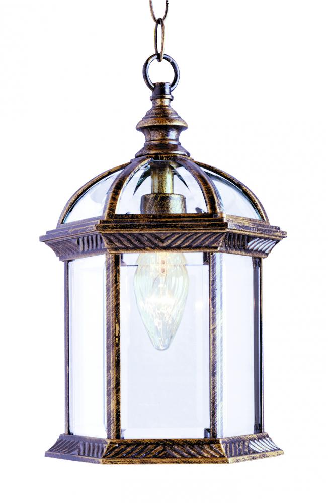 Wentworth 1-Light Atrium Style Outdoor Hanging Pendant