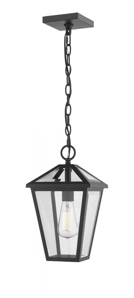 1 Light Outdoor Chain Mount Ceiling Fixture