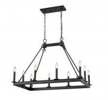 Z-Lite 482-10L-MB - 10 Light Linear Chandelier