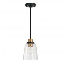 Capital 3718AB-135 - 1 Light Pendant