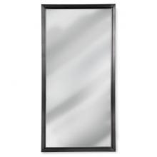 Regina Andrew 21-1047STL - Regina Andrew Rectangle Mirror (Steel)