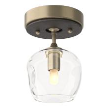 Hubbardton Forge 121372-SKT-84-14-ZM0709 - Ume 1-Light Semi-Flush