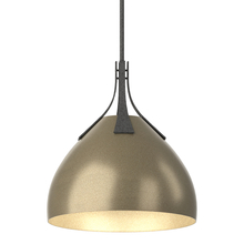 Hubbardton Forge 134502-SKT-MULT-20-84 - Summit Pendant