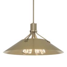 Hubbardton Forge 136340-SKT-MULT-84-82 - Henry Pendant