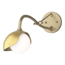 Hubbardton Forge 201376-SKT-84-86-GG0711 - Brooklyn 1-Light Single Shade Long-Arm Sconce