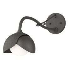 Hubbardton Forge 201377-SKT-20-14-GG0711 - Brooklyn 1-Light Double Shade Long-Arm Sconce