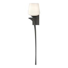 Hubbardton Forge 204710-SKT-LFT-20-GG0236 - Antasia Single Glass 1 Light Sconce